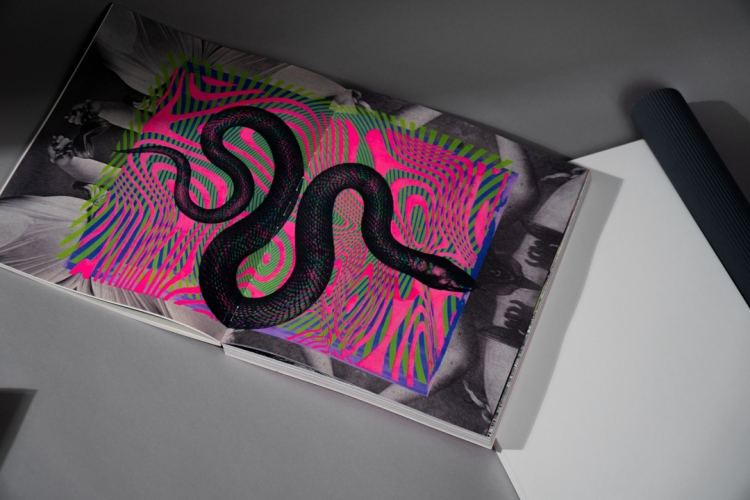 4Apophenia-art-book-44439.jpg 
