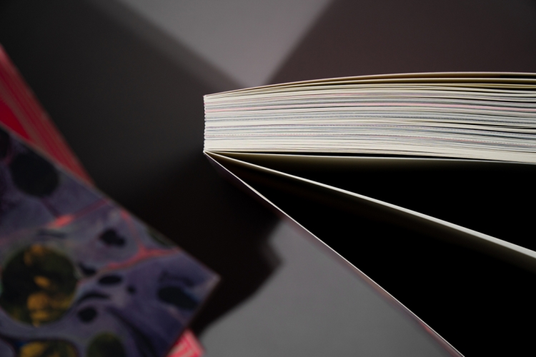 5Apophenia-art-book-44439.jpg 