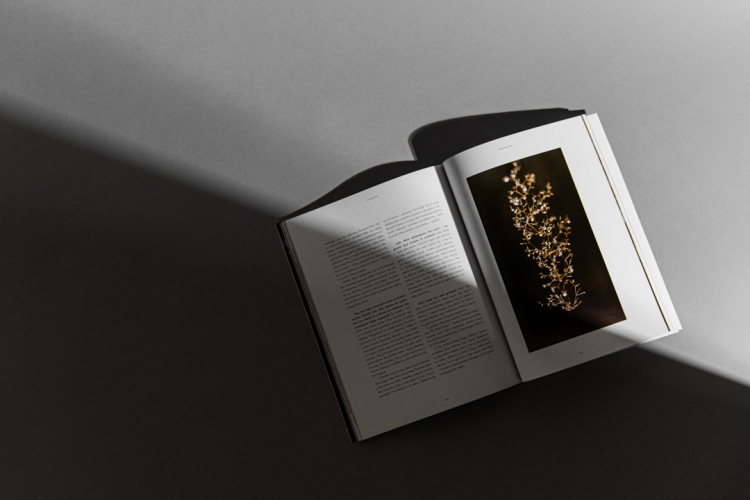 Softcover magazine Cikados printed by KOPA printing