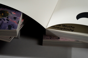 7Apophenia-art-book-44439.jpg 