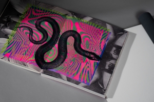 9Apophenia-art-book-44439.jpg 
