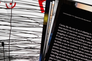 Cactus magazine printed by KOPA printing