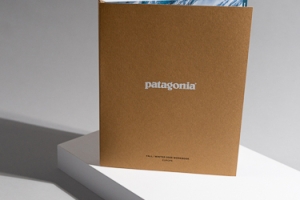 Patagonia