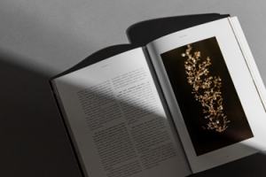 Softcover magazine Cikados printed by KOPA printing