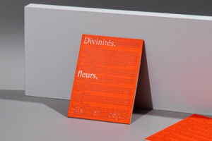 Divinites, fleurs, plis et replis