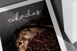 Softcover magazine Cikados printed by KOPA printing